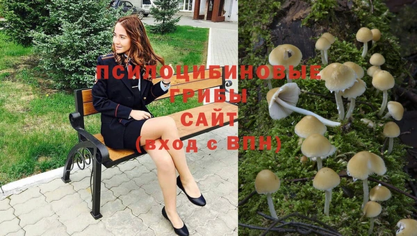 марихуана Богородицк