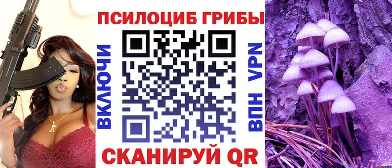 купить закладку  Энгельс  Галлюциногенные грибы мицелий 